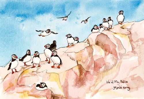 Print 'Puffins on the Isle of May Cliffs'... £22