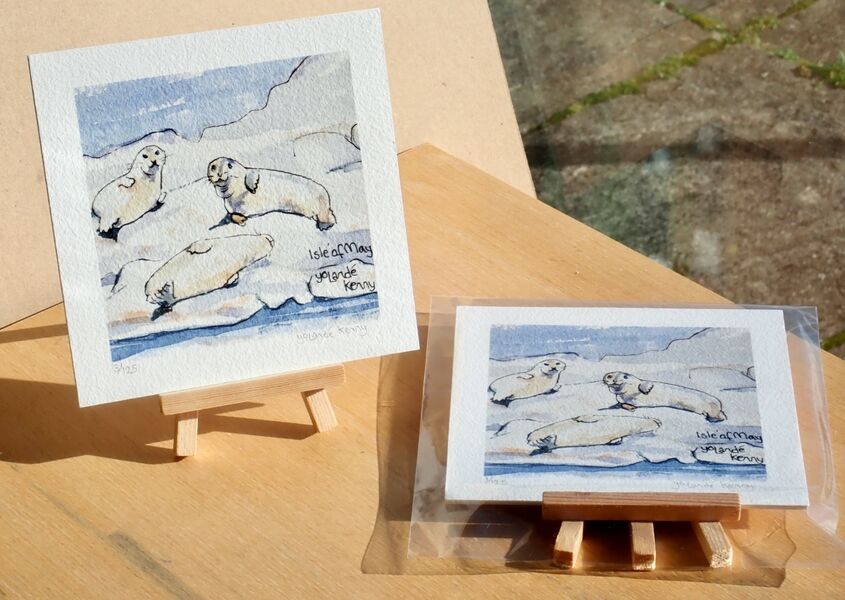 Print of Seals with easel