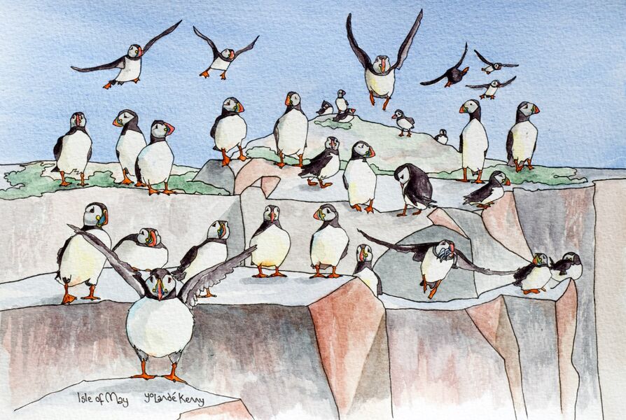 Print 'A Circus of Puffins'... £39