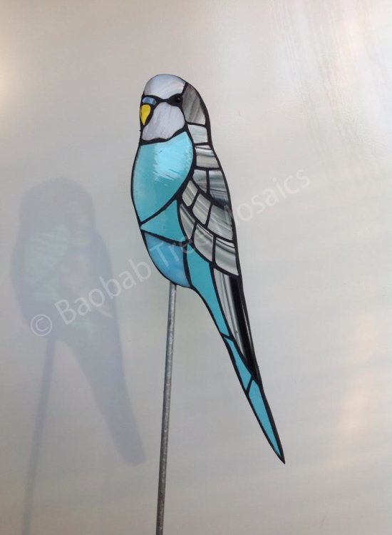Budgie