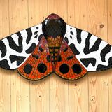 garden tiger moth mosaic