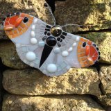 Orange tipped butterflies