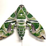 oleander hawk moth mosaic