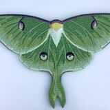mosaic luna moth