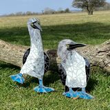 Blue footed boobies blue footed boobies garden stake
