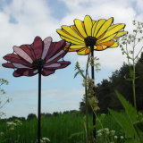 Daisies daisy garden mosaic stakes