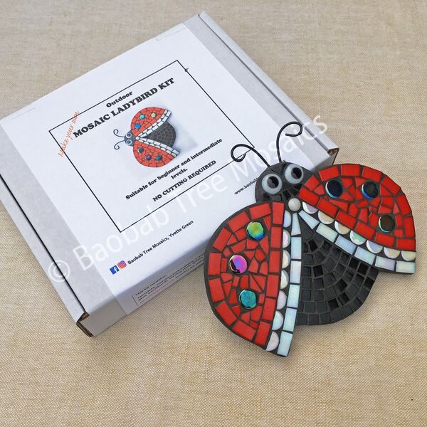 ladybird mosaic kit