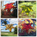 Autumn leaf suncatchers Saturday October 15th - £75 autumn leaf glass mosaic