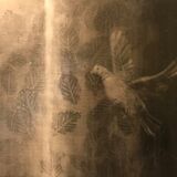 Peace bird.  Oil on panel.  59cm x 42cm.  Available from Frames Gallery, Perth.