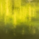 River reflection. Oil on panel. 59cm x 42cm. Available from Aberfeldy Gallery.