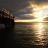 Autumn gold, Dundee.