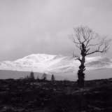 Ben Lawers