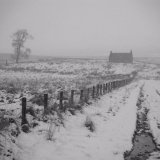 Cottage, Moor of Ardoch.