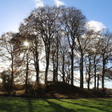 Roundel, Almondbank.