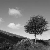 Rowan, little Glenshee.
