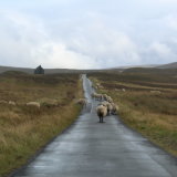 Slow traffic, Glen Quaich.