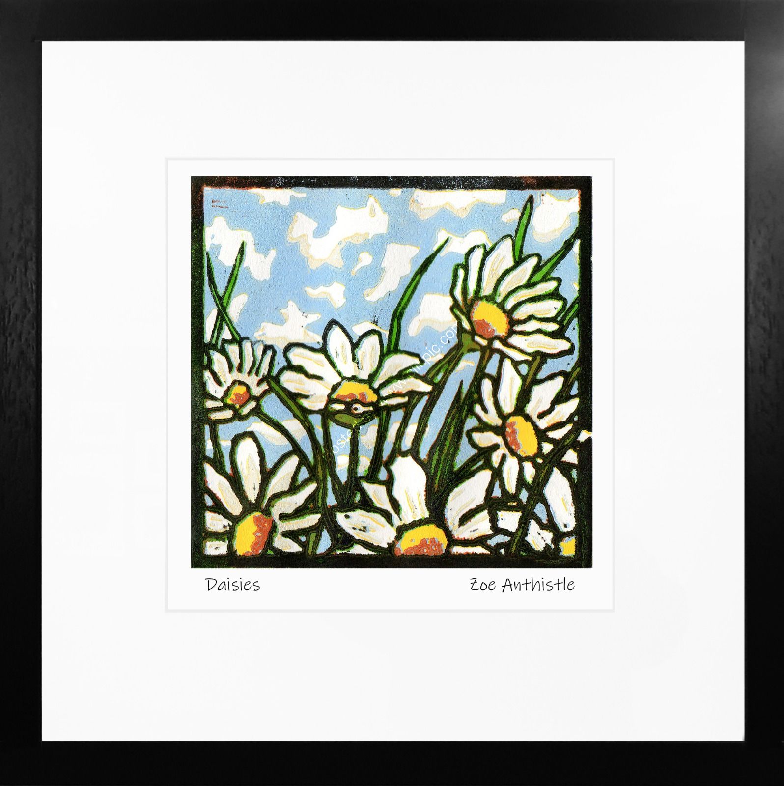 'Daisies'
