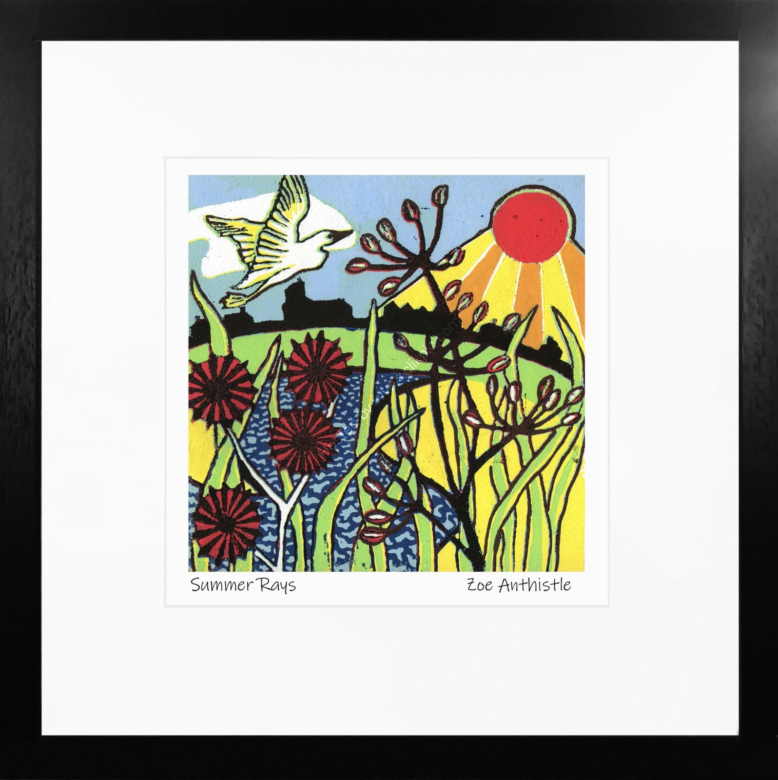 'Summer Rays'