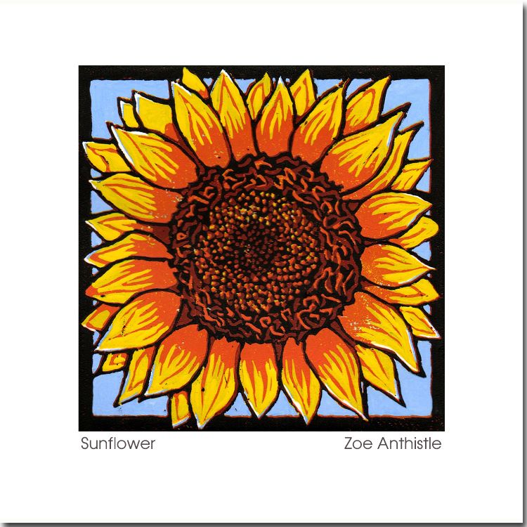 'Sunflower'