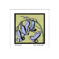 bluebells2