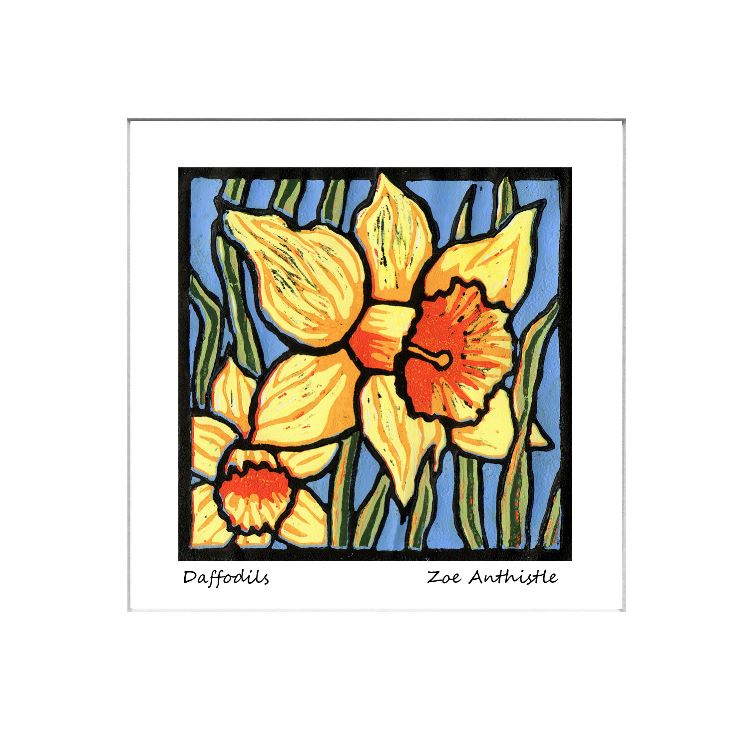 Daffodils