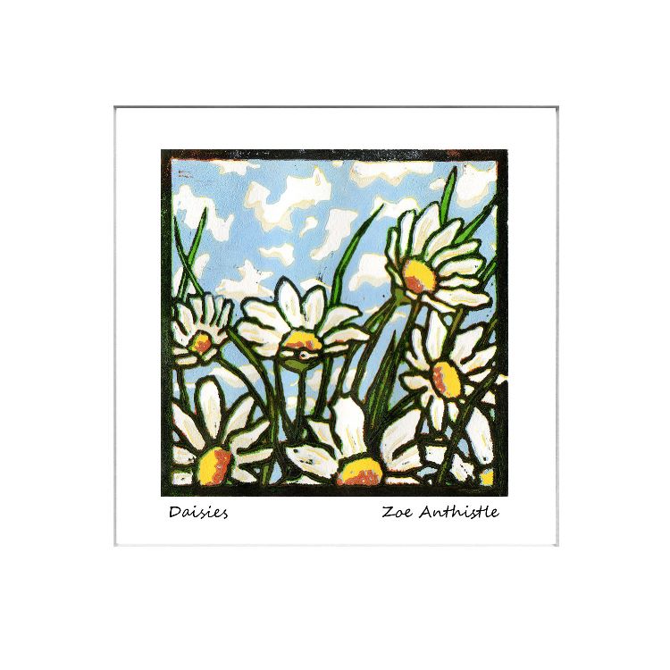 Daisies
