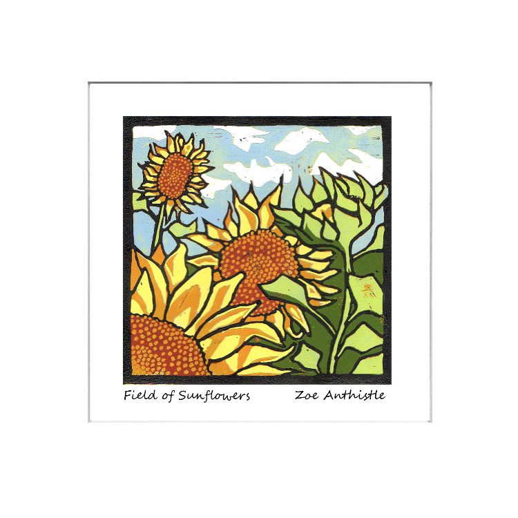 Field of Sunflowers