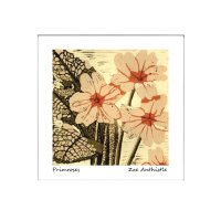 primrose2