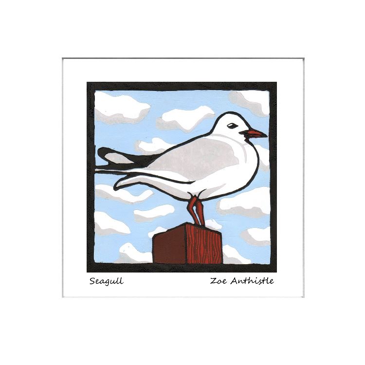 Seagull
