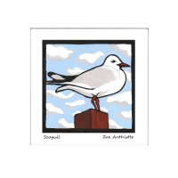 seagull2
